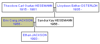 Mini tree diagram