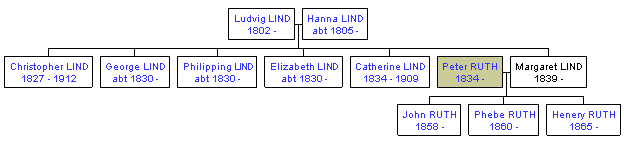 Mini tree diagram