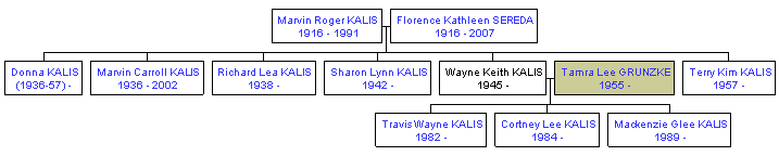 Mini tree diagram