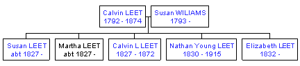 Mini tree diagram