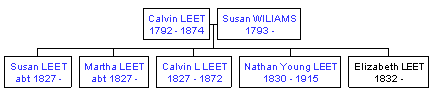 Mini tree diagram