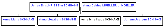 Mini tree diagram
