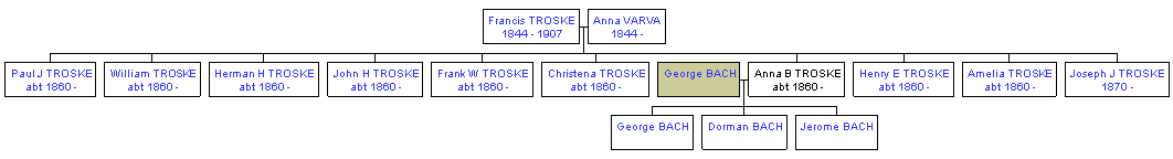 Mini tree diagram