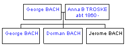 Mini tree diagram