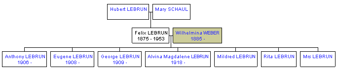 Mini tree diagram