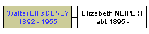 Mini tree diagram