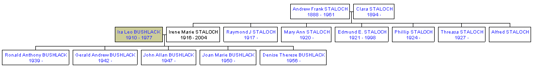 Mini tree diagram